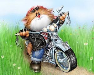 ������������ ����������� �����